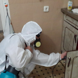 Дезинфекция от муравьев в квартире в Северном районе Москвы