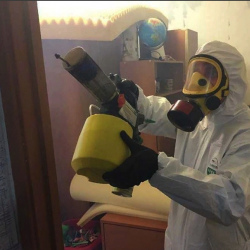 Уничтожение клопов в квартире. Северный 